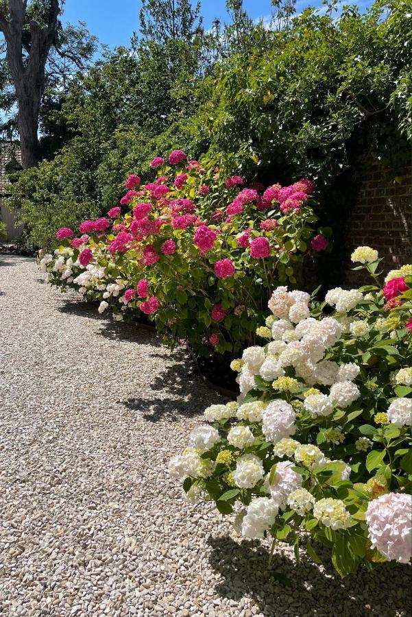 Aux Remparts De Montreuil Bed and Breakfast Montreuil  Eksteriør billede